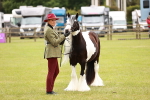 SBM_06068