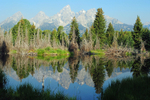 Tetons Reflections