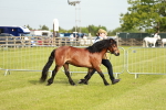 SBM_00460