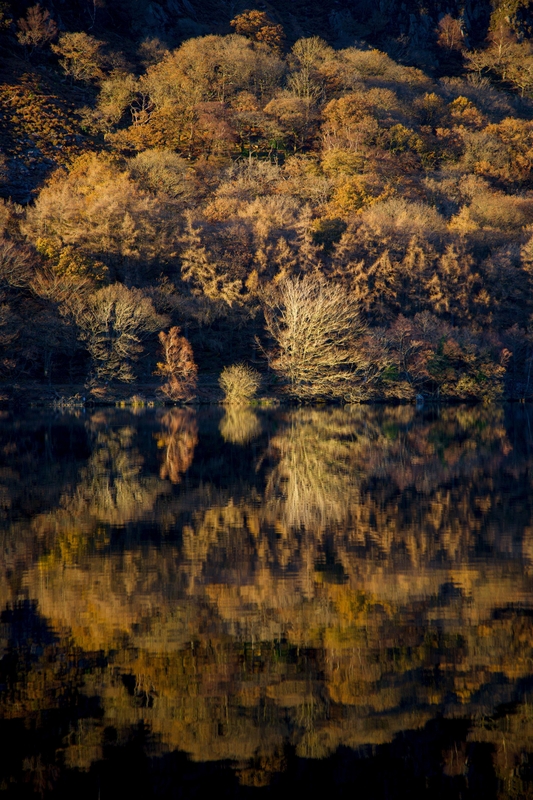 Llyndy Isaf - snowdonia