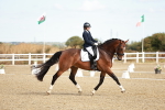 SBM_008730