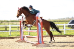 Class 15 - Senior British Novice - 90cm portfolio