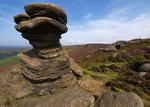 Salt Cellar