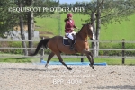 BPP_4004