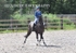BPP_0838