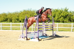 SBM_001887