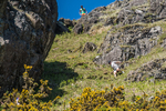 Coniston Senior-37