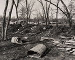 The Woods Behind the Houses, Missouri, #4, 1992
