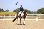 SBM_010547