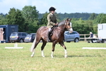 WJ7_1940