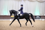 SBM_009085