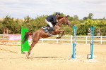 SBM_006462