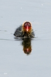 20120520-_MG_9990