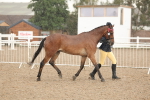 SBM_07737