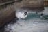 Newquay Harbour/Towan 24th Dec 2015 portfolio