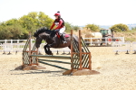 SBM_002595