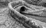 Bridge 43 (Foden Bank), Macclesfield Canal (3)