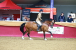SBM_00754