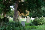 Capel & Leigh - 15