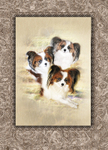 Three of a kind , or: 