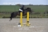 BPP_9854