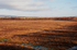 Flanders Moss 2