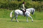3E7A8280