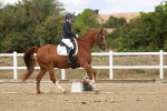 SBM_011856