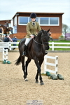 Cls 64 Racehorse to Show Horse portfolio