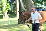 C-219-Francois.Heyns-LS.TOP.BOY portfolio