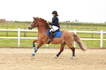 SBM_003987