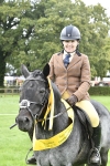 S31 - Novice & Newcomer Working Hunter Pony portfolio