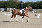 SBM_020244