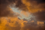 ACP_6455-1
