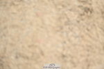 250216A-123651-02546