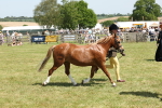 SBM_06774