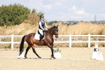SBM_004195