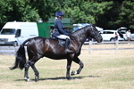WJ7_2973