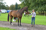 009-Louisa.Lockwood-GRANTSTOWN.AMADEUS portfolio