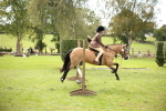 SBM_42343