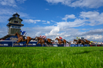 300826-Race 4-Financer-6141