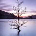 Derwent Reservoir Towers (4)