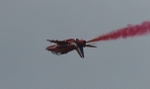A20