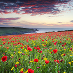 Cornwall - North Coast 2 portfolio