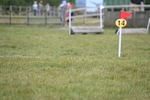 WJ6_1699