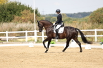 SBM_012491