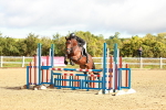 SBM_000329