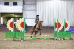 SBM_000225