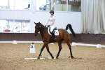 SBM_002801