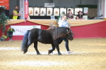 SBM_16658